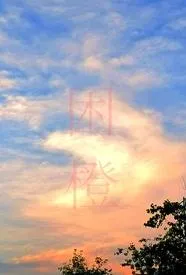 困城(男出轨H)